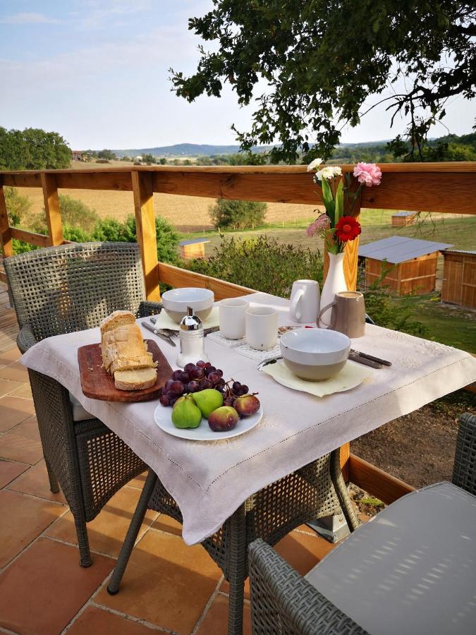 Castel Mazars Bed and Breakfast Castelnau-de-Montmiral Buitenkant foto