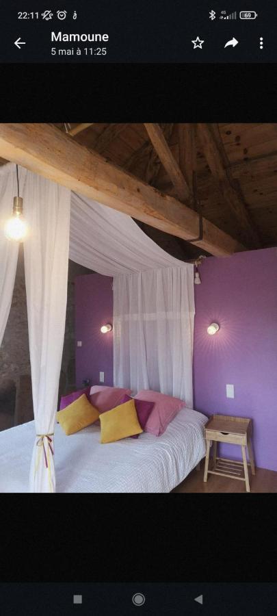 Castel Mazars Bed and Breakfast Castelnau-de-Montmiral Buitenkant foto